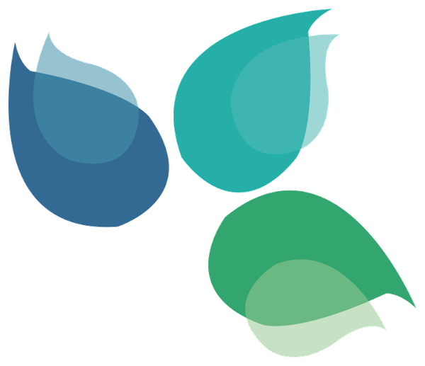 Logo Camping Le Bois Fleuri